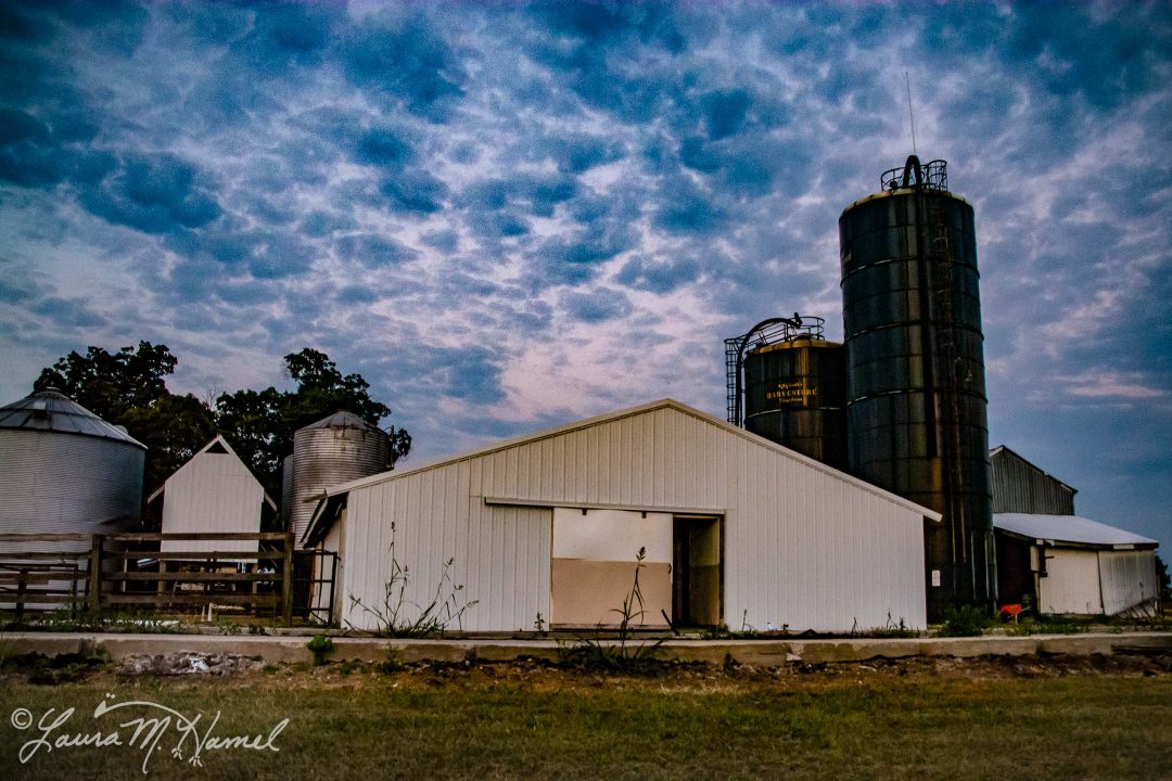 OhioGroselleFarm2015-31.jpg