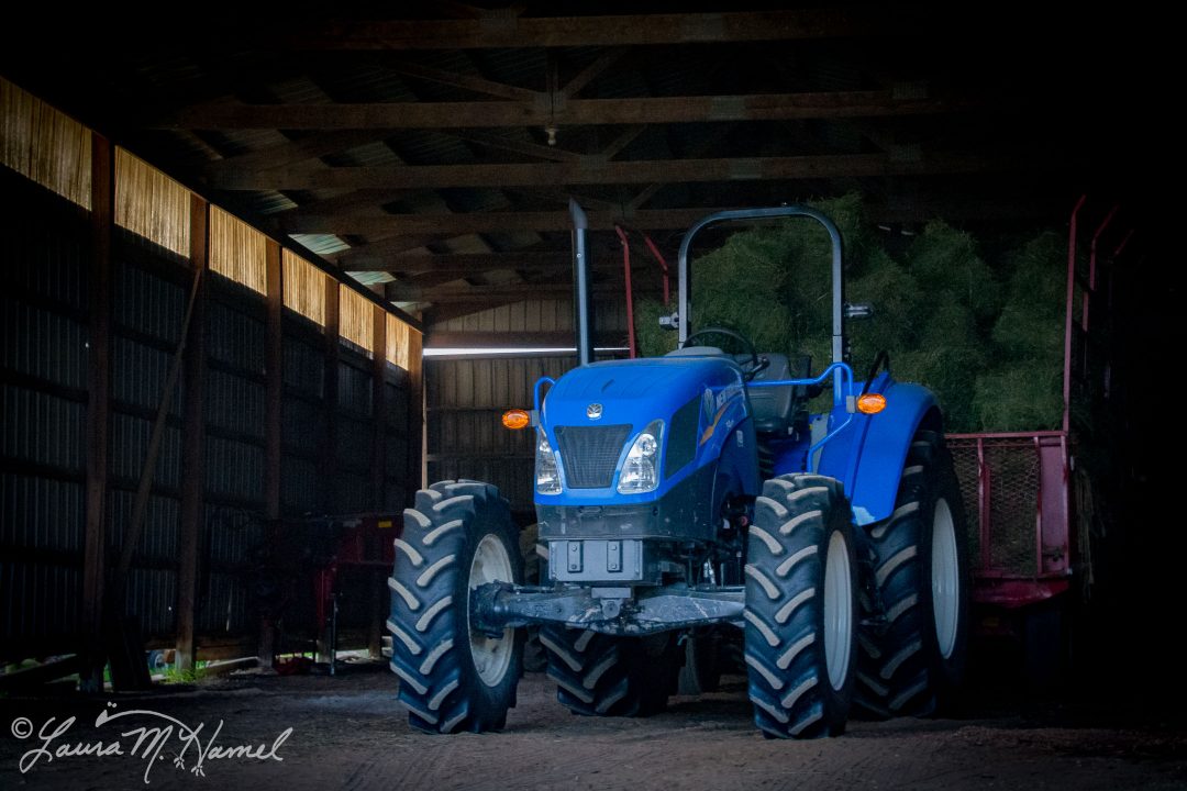 OhioGroselleFarm2015-32.jpg