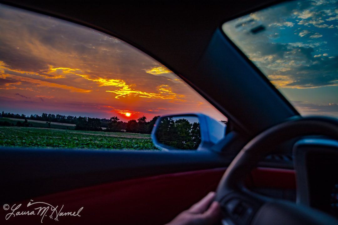 OhioGroselleFarm2015-5.jpg