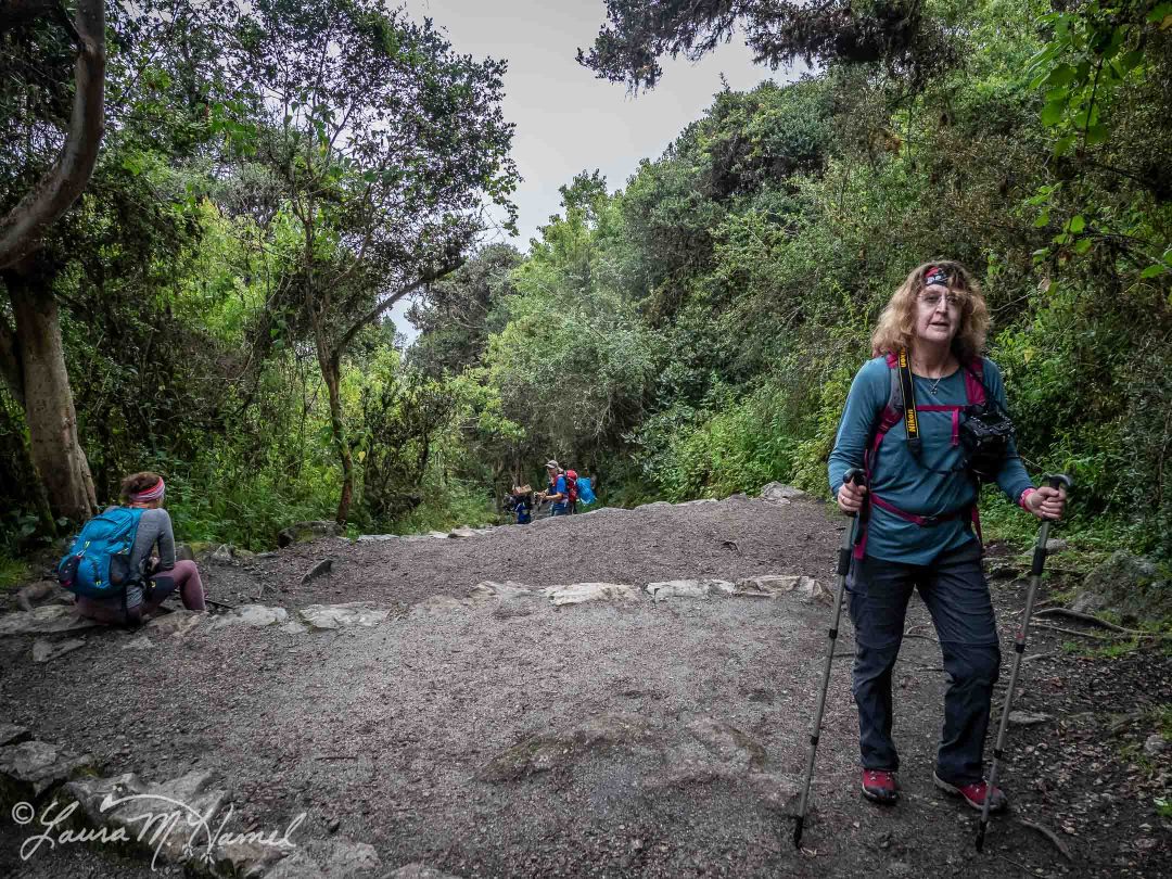 Peru201819-113.jpg