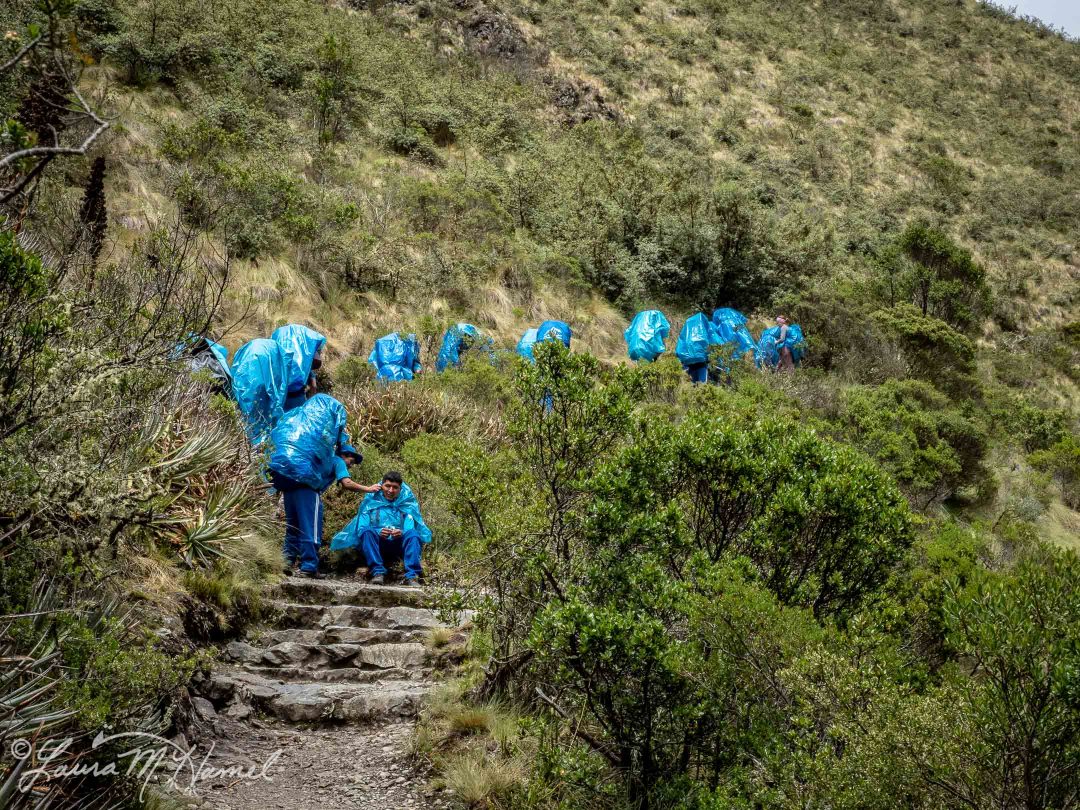 Peru201819-115.jpg