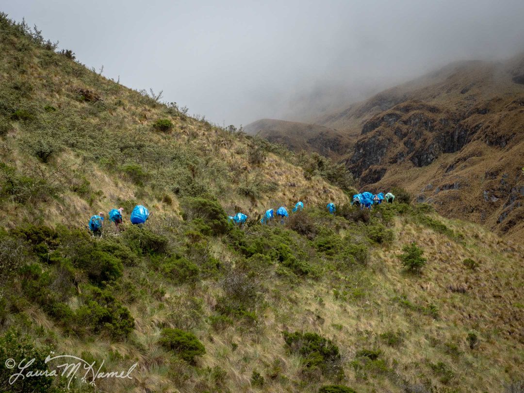 Peru201819-116.jpg