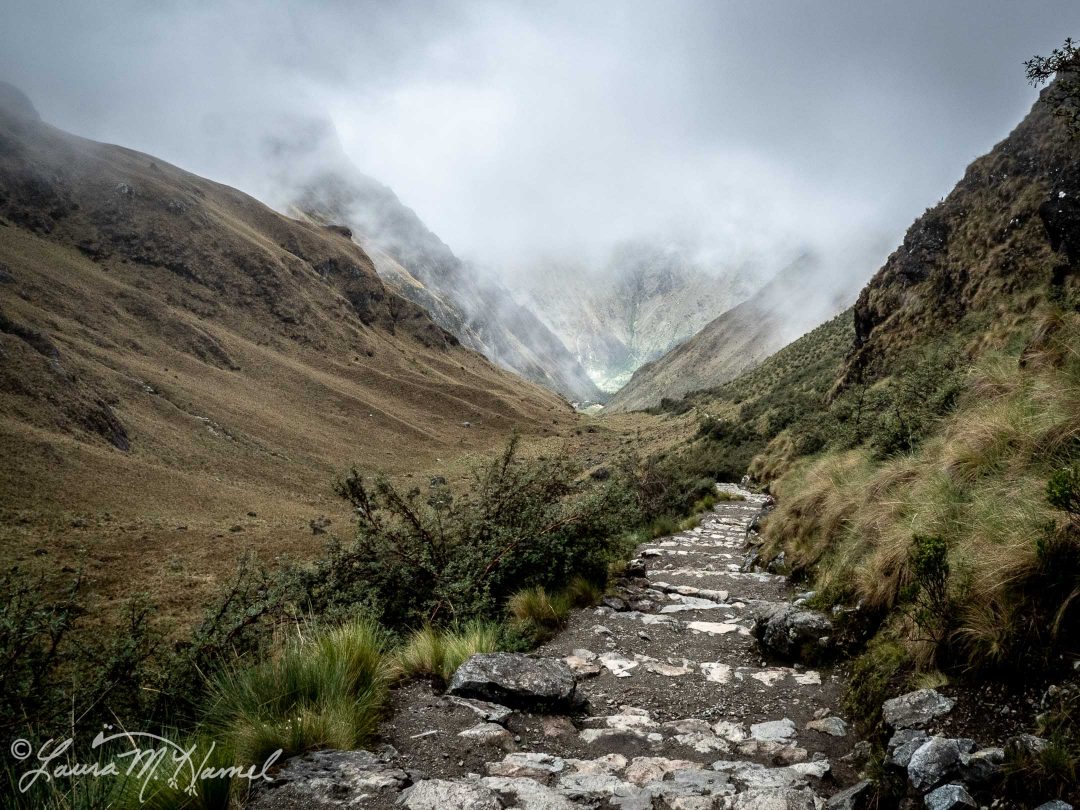 Peru201819-118.jpg