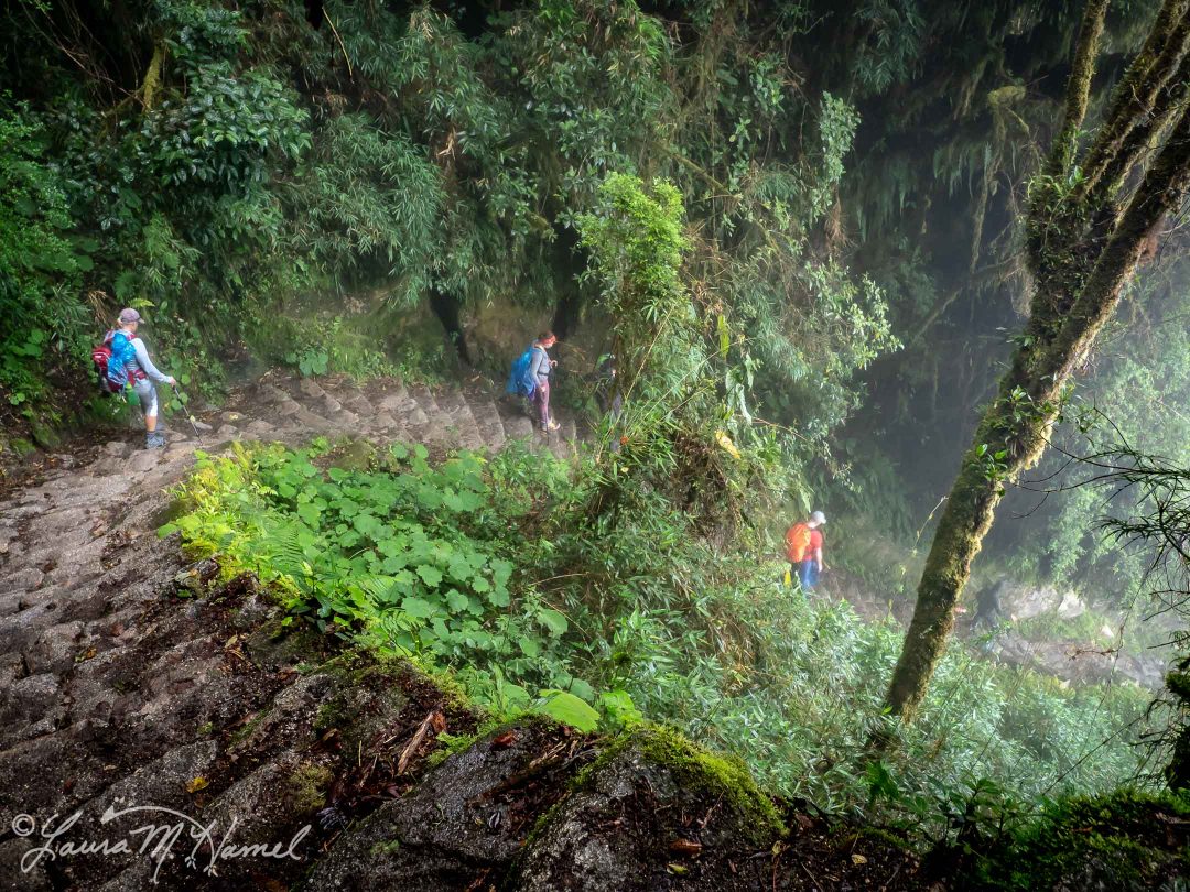 Peru201819-138.jpg