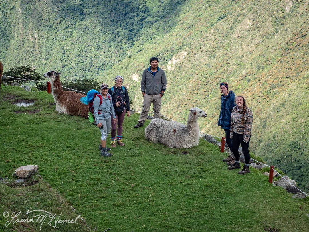 Peru201819-145.jpg