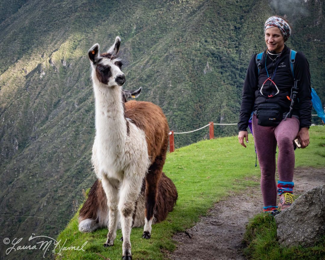 Peru201819-147.jpg