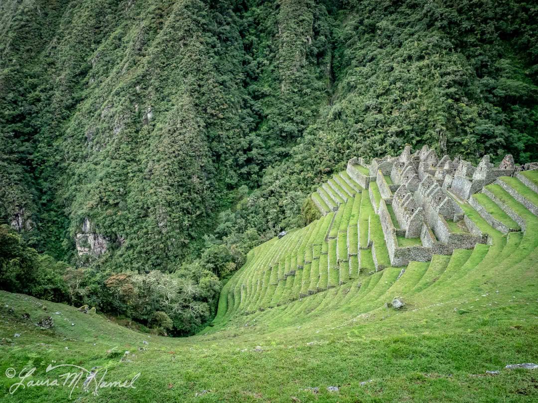 Peru201819-155.jpg