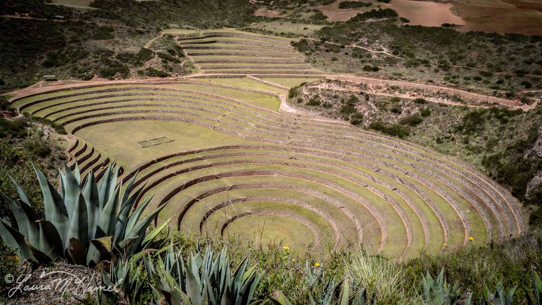 Peru201819-44.jpg