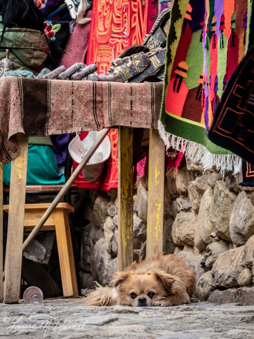 Peru201819-69.jpg