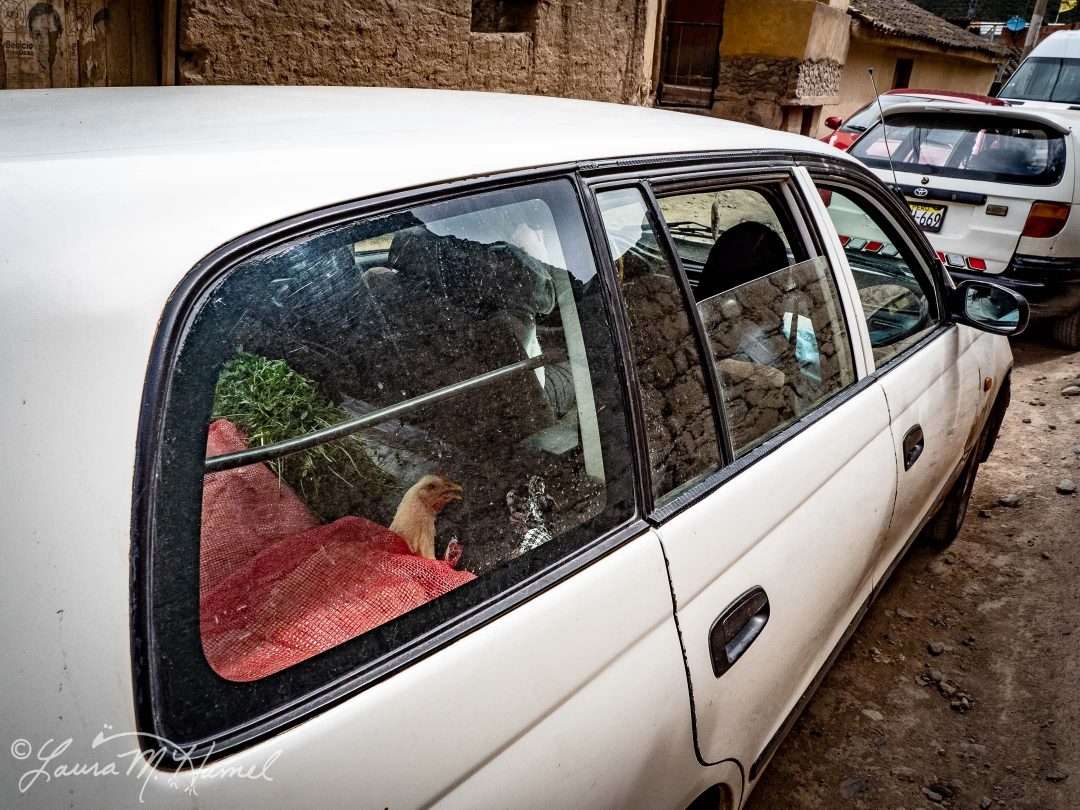 Peru201819-71.jpg