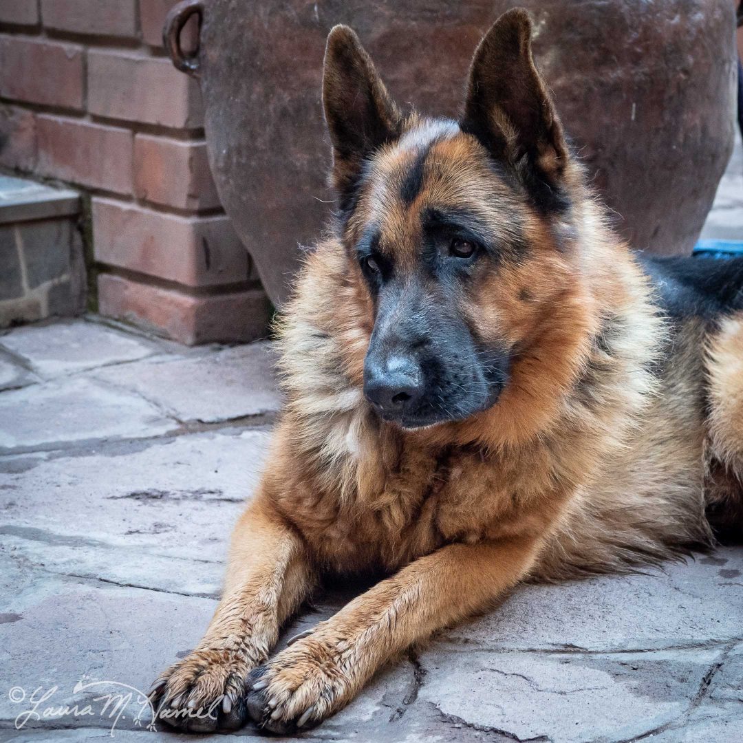 Peru201819-73.jpg