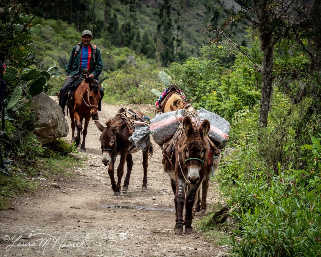 Peru201819-86.jpg