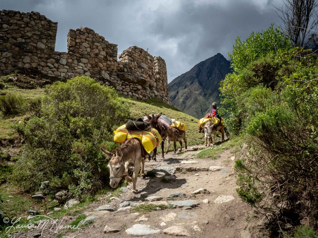 Peru201819-94.jpg