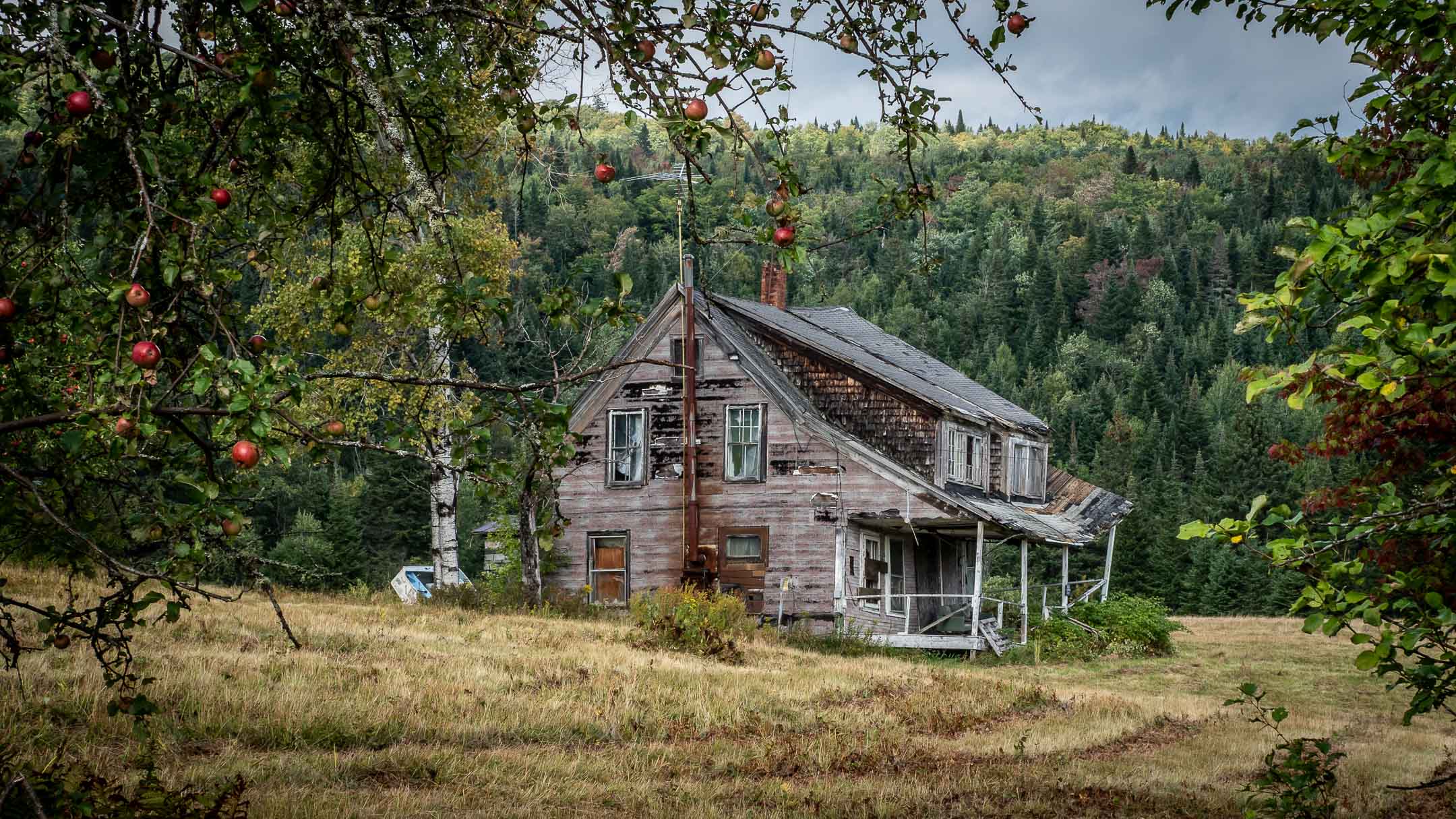 New Hampshire 2019